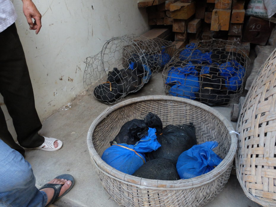 Trafficked pangolins saved from ending up on a dinner plate. 